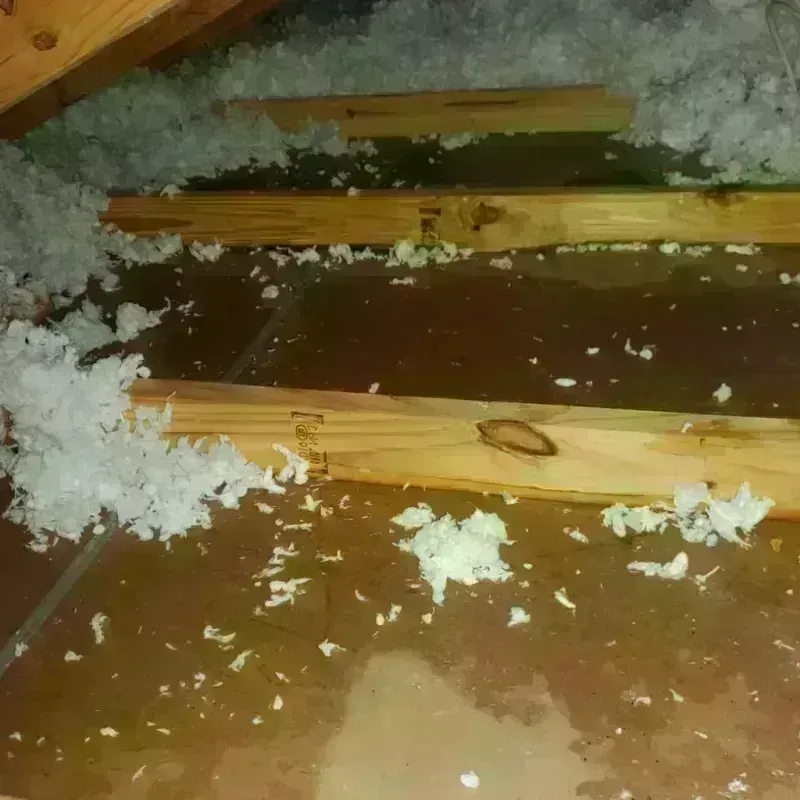 Attic Water Damage in Argentine, MI